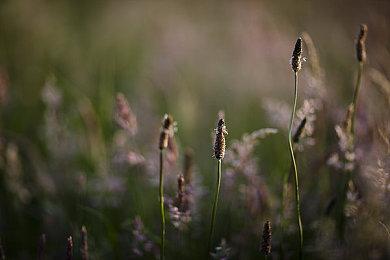 温馨可爱肉鸽探索游戏《雾方福地》正式版现已登录 Steam 等平台